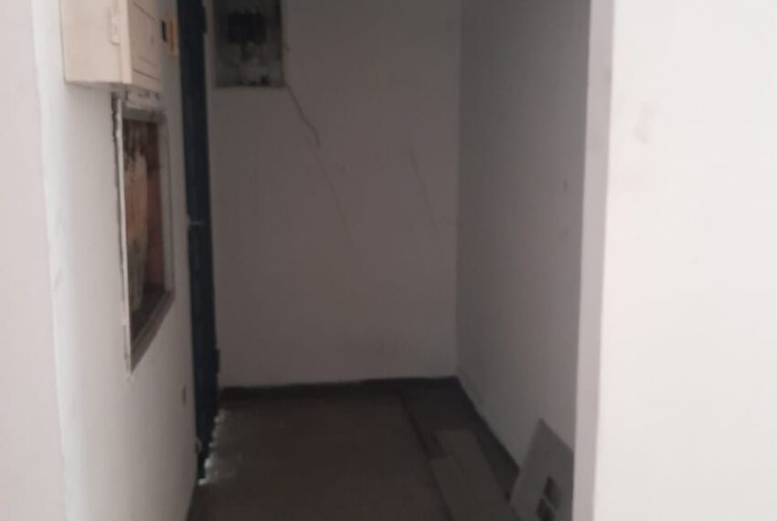 182b7b81-8a86-4f80-8ff0-cf7e01404033