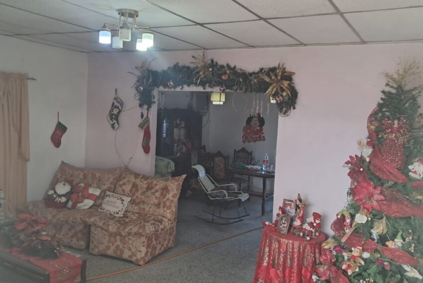 WhatsApp Image 2026-01-21 at 10.39.04 AM (3)