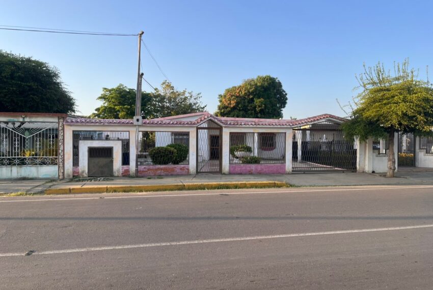 WhatsApp Image 2026-02-06 at 14.03.12