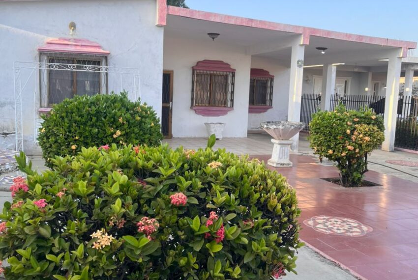 WhatsApp Image 2026-02-06 at 14.03.13 (4)