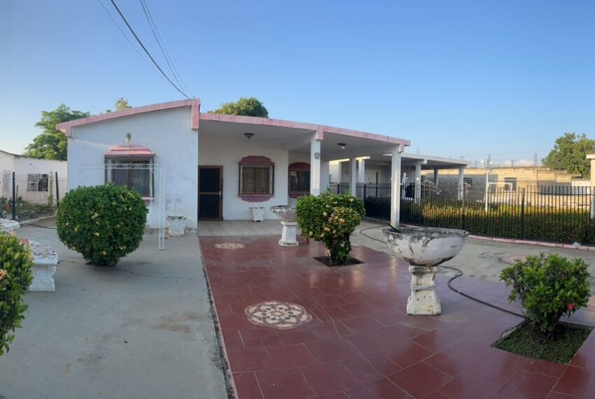 WhatsApp Image 2026-02-06 at 14.03.13 (5)