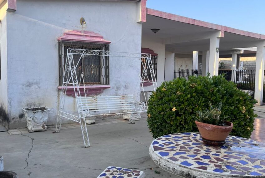 WhatsApp Image 2026-02-06 at 14.03.13 (6)