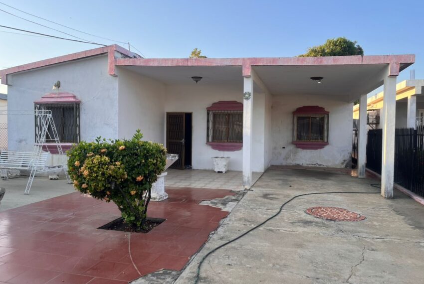 WhatsApp Image 2026-02-06 at 14.03.13 (7)