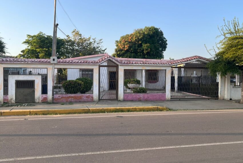 WhatsApp Image 2026-02-06 at 14.03.13 (8)