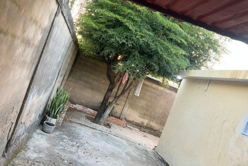 WhatsApp Image 2026-02-07 at 08.35.06 (3)