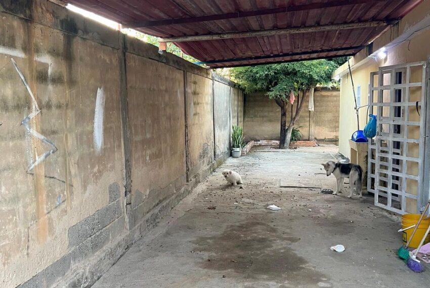 WhatsApp Image 2026-02-07 at 08.35.06