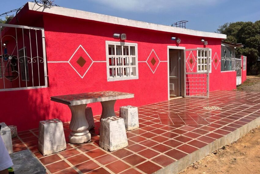 0fef2243-6b3a-48fc-bb04-726e325b652a